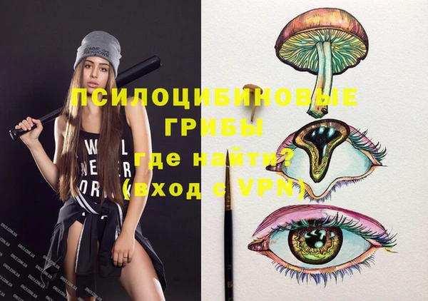ешки Баксан