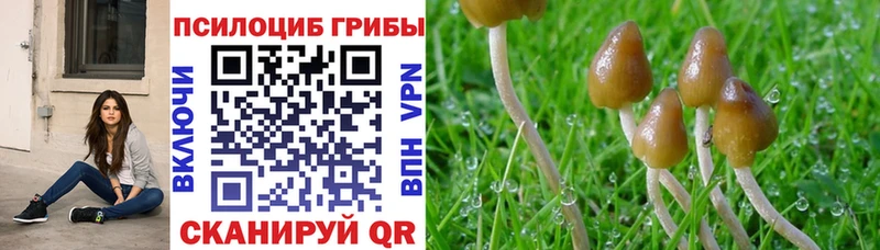 Галлюциногенные грибы MAGIC MUSHROOMS цена наркотик MEGA рабочий сайт Дигора